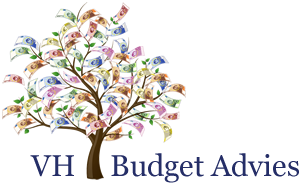 VH Budget Advies